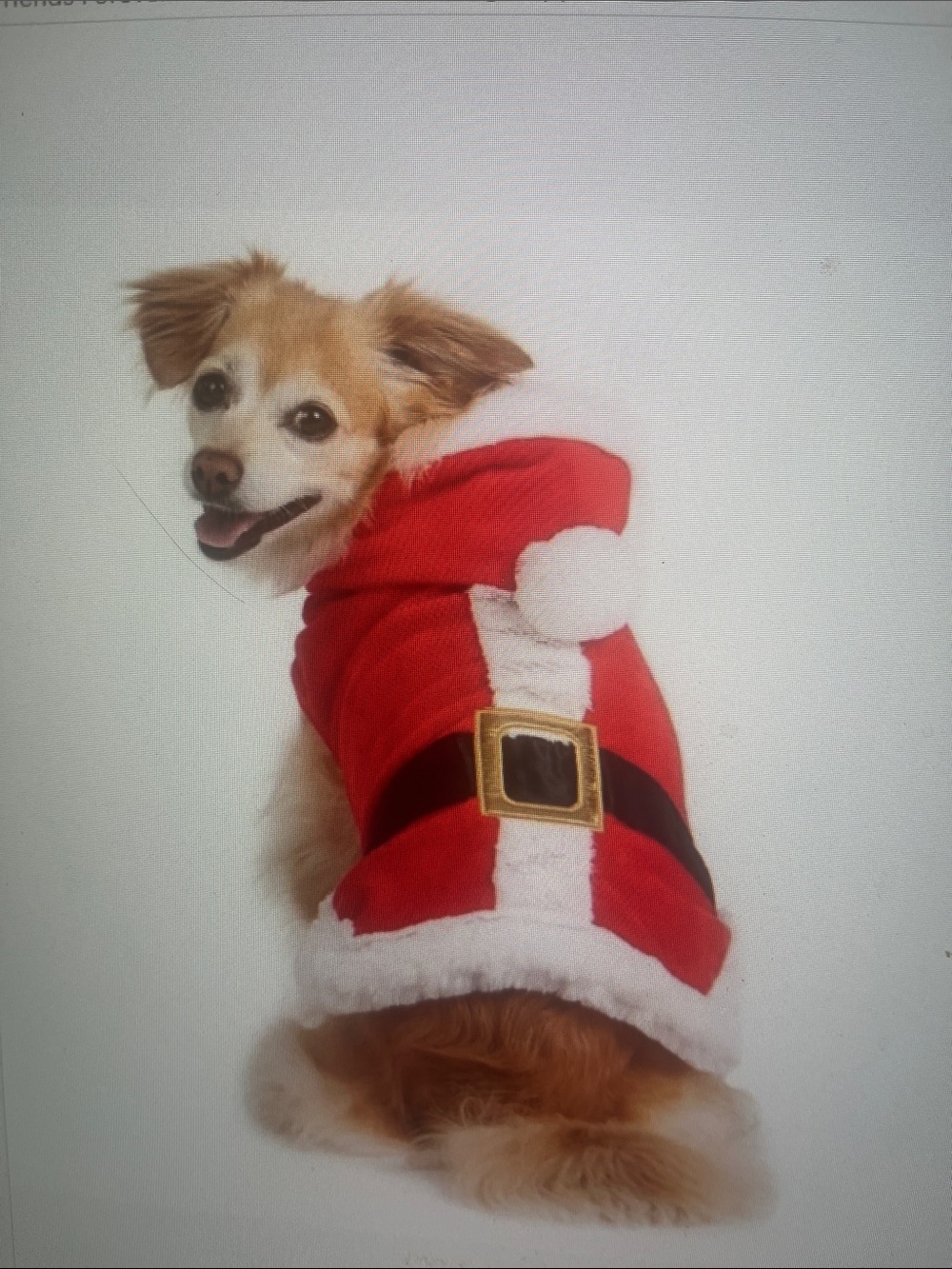 Holiday Red Santa-Style Dog Hoodie with Belt Detail